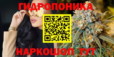 PSILOCYBIN Кунгур