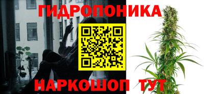 PSILOCYBIN Кунгур