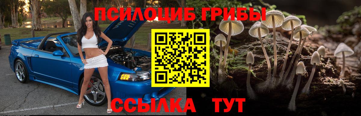 Псилоцибиновые грибы Psilocybine cubensis  Галлюциногенные грибы MAGIC MUSHROOMS  Вход с VPN  Гай 