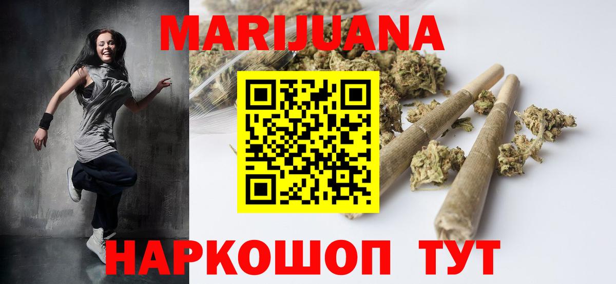 Конопля сатива Гай